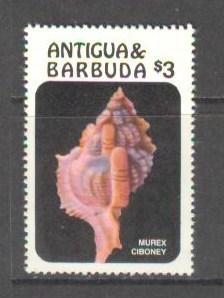 ANTIGUA Sc# 946 MNH FVF Ocean Sea Shell Murex Ciboney