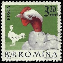 ROMANIA   #1560 USED (1)