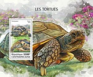 Central Africa - 2018 Turtles on Stamps - Souvenir Sheet - CA18506b