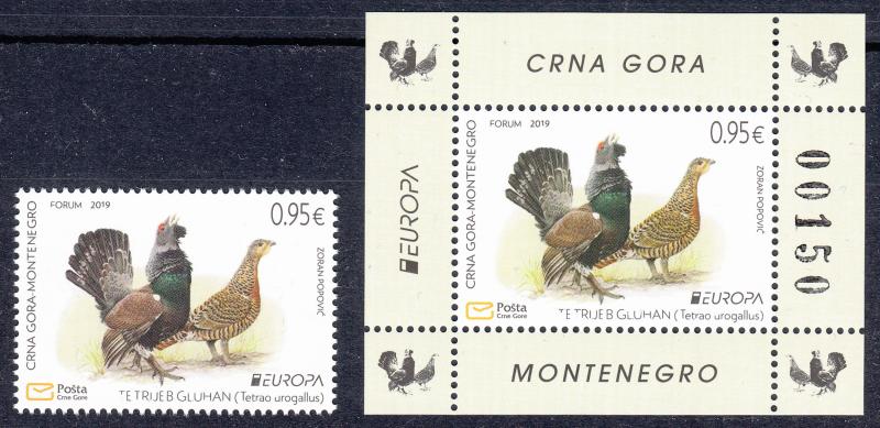 Montenegro 2019 Europa Birds Wood grouse Animals Fauna MNH