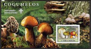 St Thomas & Prince Islands 2007 Fungi large imperf s/...