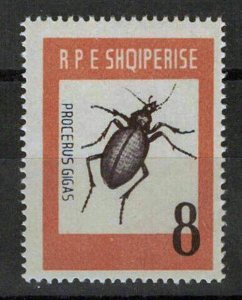 Albania 662 MNH Procerus Gigas Beetle, Insects ZAYIX 1223S0244M