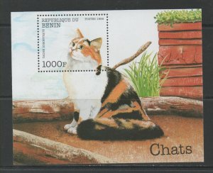 Thematic Stamps Animals - BENIN 1998 CATS MS mint