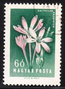 Hungary 1198 -  FVF used