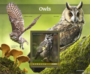 Liberia - 2020 Great Horned Owls - Stamp Souvenir Sheet - LIB200416b