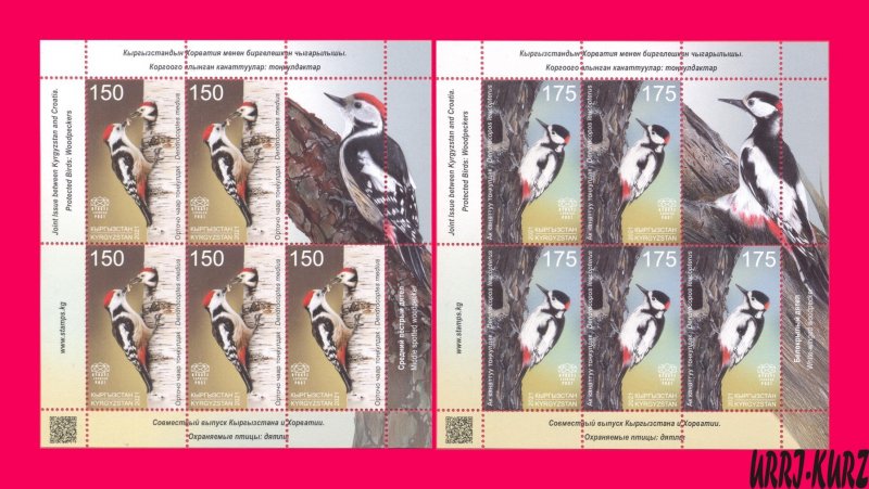 KYRGYZSTAN 2021 Joint Croatia Nature Fauna Protected Birds Woodpeckers 2 m-s MNH