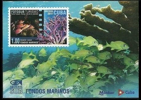 2011 Cuba 5543/B288 Sea fauna