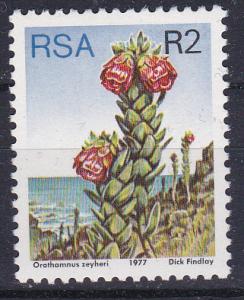 South Africa 491 MNH 1977 Flower