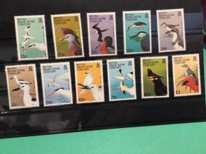 British Indian Ocean Territory 1990 Birds mint never hinged stamps A19492