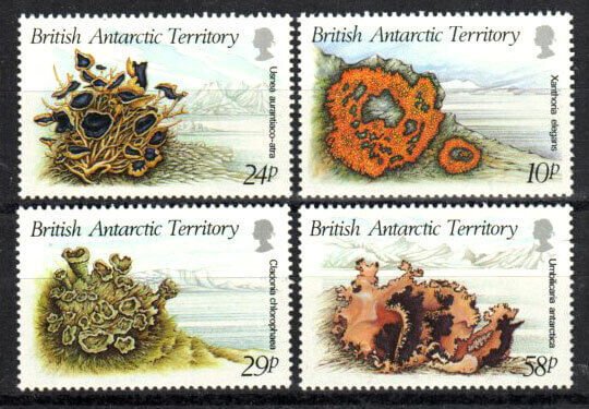 British Antarctic Territory Stamp 149-152  - Lichens