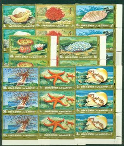 Umm al Qiwain 1972 Mi#682-689 Marine Life, Shells, Starfish, Anemone str3 (hi...