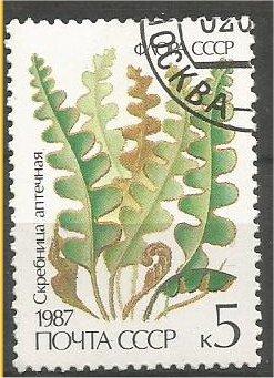 RUSSIA, 1987, CTO 5k Ferns Scott 5573