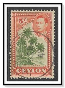 Ceylon #292 Coconut Palms Used