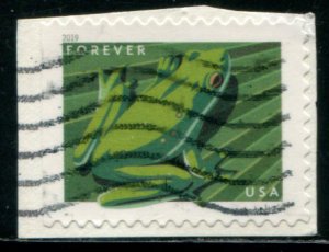 5397 US (55c) Frogs - American Green Tree Frog SA, used on paper