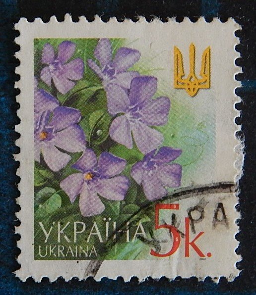 Flowers, Ukraine, (2562-Т)