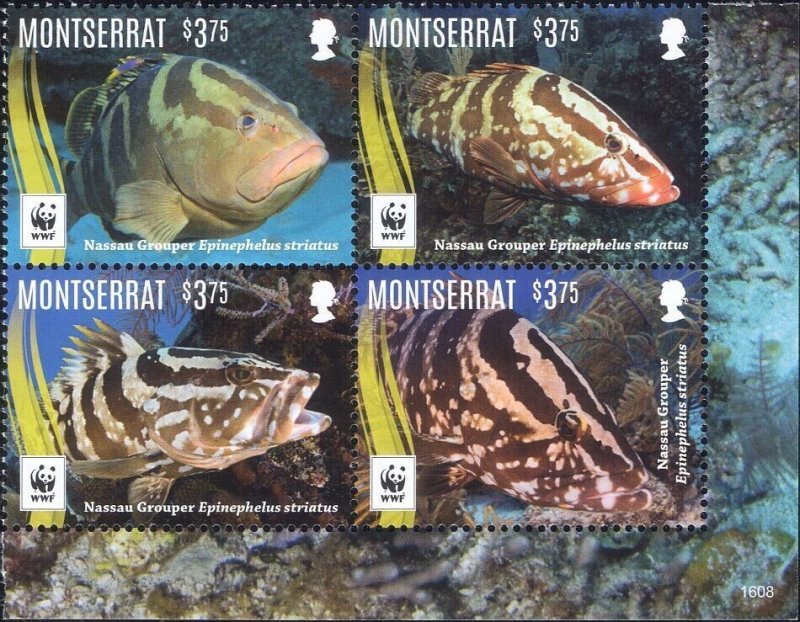 Montserrat MNH Block Nassau Grouper Fish WWF 2016