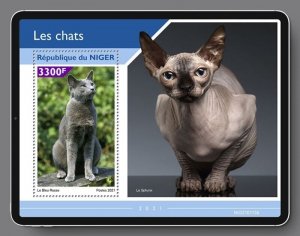 Niger - 2021 Russian Blue Cat Breed - Stamp Souvenir Sheet - NIG210113b