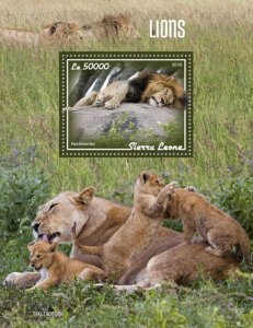 Sierra Leone 2019 MNH Wild Animals Stamps Lions Big Cats 1v S/S