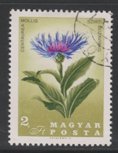 Hungary 1815 Centaurea Mollis 1967