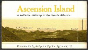 Ascension 1981 Flowers Booklet  MNH