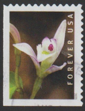 SC# 5451 - (55c) - Wild Orchids, 7 of 10 - used bklt single off paper