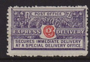 New Zealand 1903 Express Delivery Sc E1a perf.11 MH