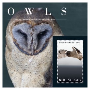 SAINT KITTS 2015 - OWLS Birds - STAMP SOUVENIR SHEET - MNH