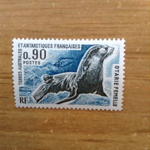 French Southern & Antarctic Territory Sc 60 NH