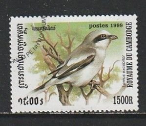 1999 Cambodia - Sc 1900 - used VF -  1 single - Birds