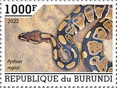 BURUNDI - 2022 - Snakes - Perf Single Stamp - Mint Never Hinged