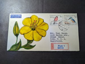 1960 Registered Czechoslovakia Hand Painted Airmail Cover Pisek to IA USA