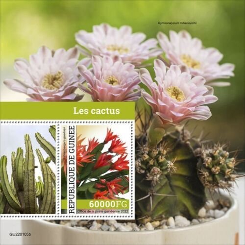 Guinea 2022 MNH Plants Stamps Cactus Schlumbergera Flowers Nature 1v S/S 