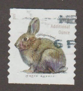USA 5545 Rabbit