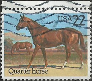 # 2155 USED QUARTER HORSE