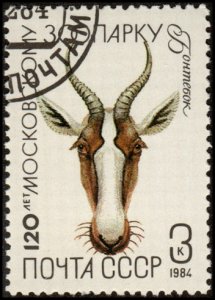 Russia 5227 - Cto - 3k Gazelle / Moscow Zoo, 120yrs  (1984)