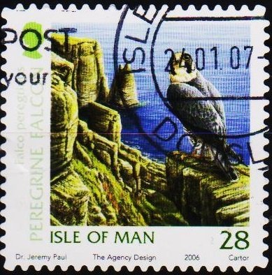 Isle of man. 2006 28p Fine Used