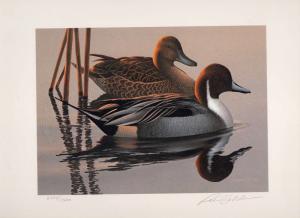 1983 Federal Duck Stamp RW50 Pintails Painting Print Medallion Ed. Phil Scholer