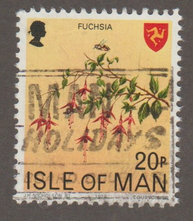 Isle of man 126 Fuchsia