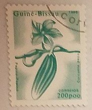 Guinea Bissau 880