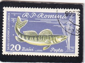 Romania   #        1389       used