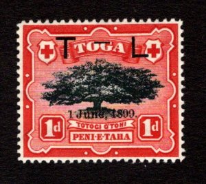 TONGA  SC# 53  FVF/MOG