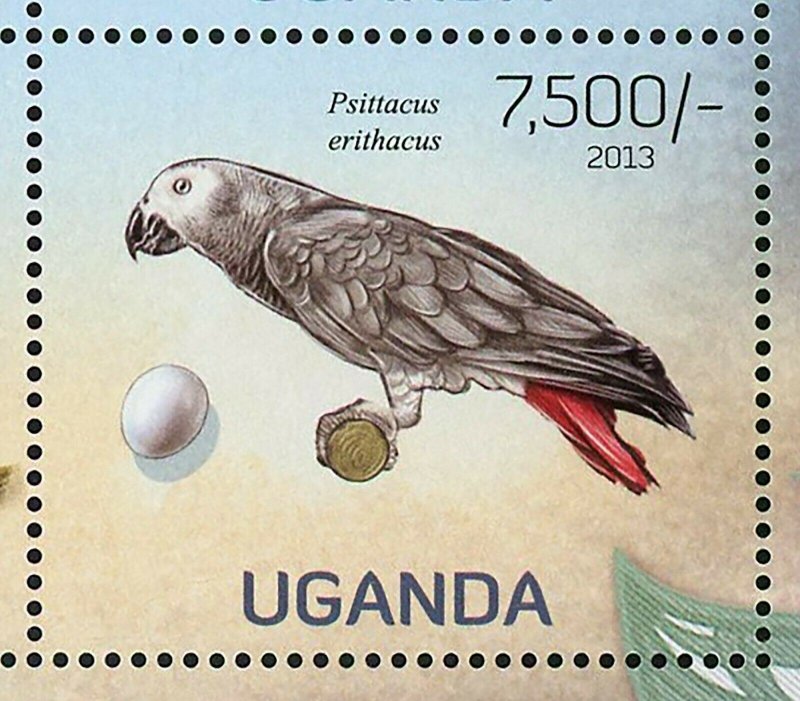 Birds Stamp Rynchops Flavirostris Haematopus Moquini Psittacus S/S MNH #3010-301