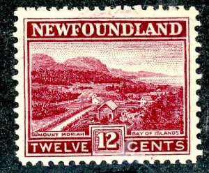 Newfoundland, Scott #141, Mint, Never Hinged