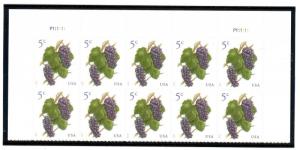 US  5177   Grapes 5c - Top Plate Block of 10 - MNH - 2017 - P111111