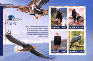 A7231 - UGANDA, Error, 2014, MISPERF MINIATURE SHEET: Eagles, Bird Watching 