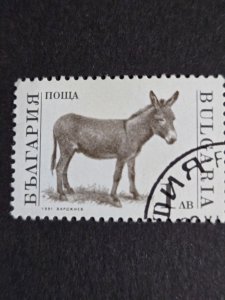 Bulgaria #3588          CTO