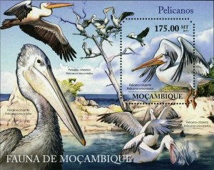 Pelicans Stamp Pelecanus Onocrotalus Bird Marine Fauna S/S MNH #4881 / Bl.499