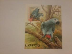 SAHARA SHEET BIRDS PARROTS