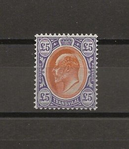 SOUTH AFRICA/TRANSVAAL 1903 SG 259 MINT Cat £2250. CERTS