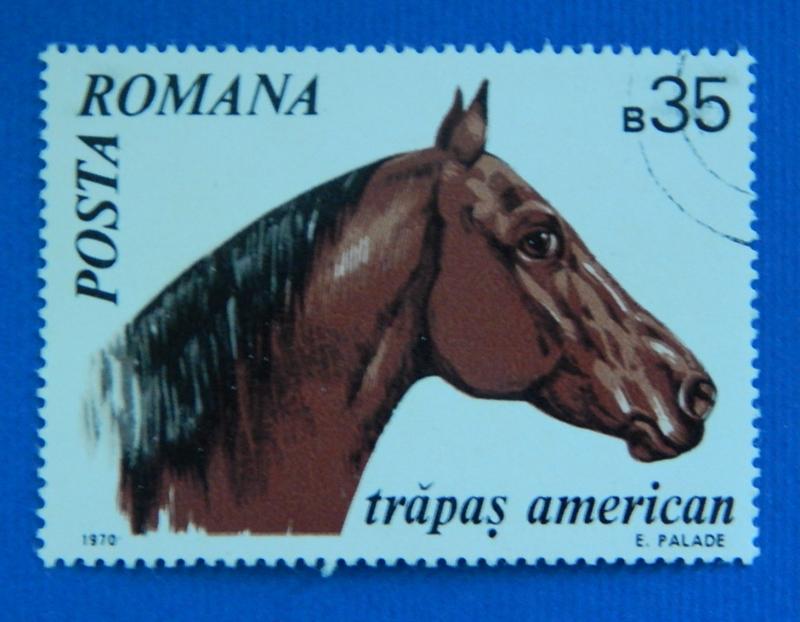 Horse, 1970, Europ, Romania, №58-T-2